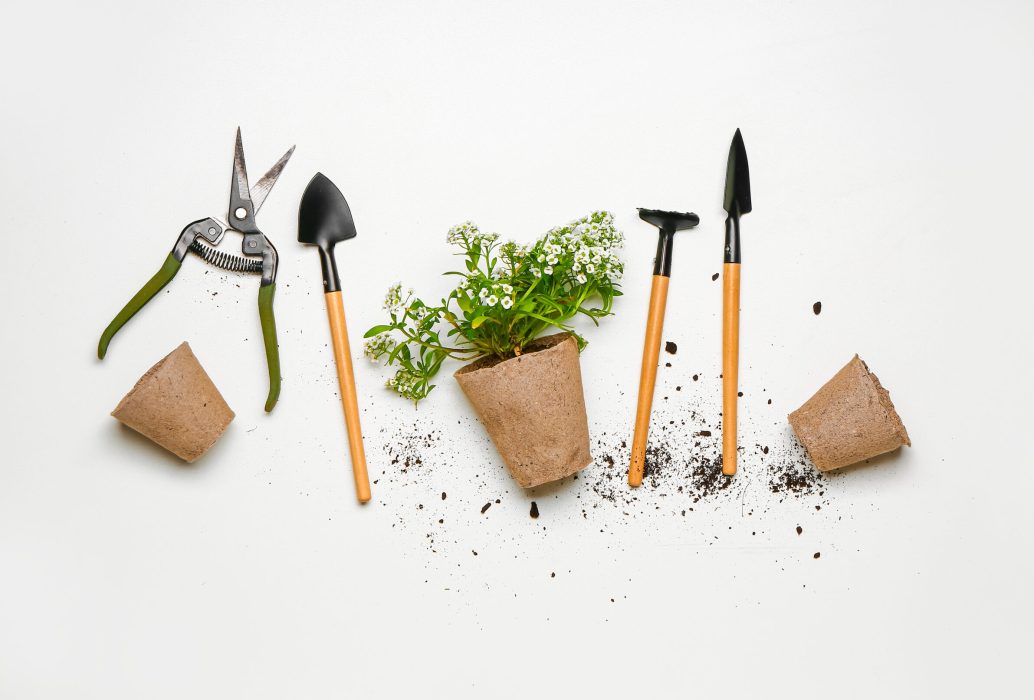 gardening